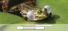 Frog_exact-volume_dual-bulb_Pipette_228x105_p
